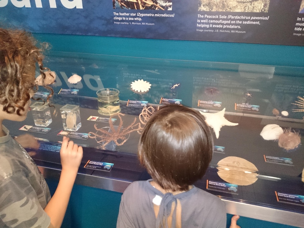 10yo reading labels on one of the displays at the Museum of Western Australia to 6yo