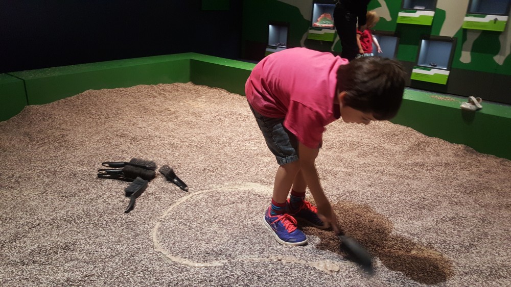 7yo digging up fossils in SciTech's dinosaur exhibit
