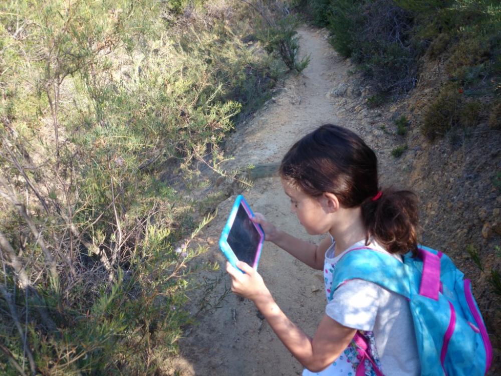 Photographing a flower with an iPad at Sixty Foot Falls trail, Banyowla Regional Park, Western Australia