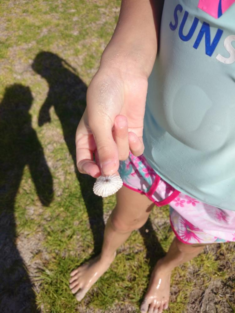 9yo with limpet shell at Jurien Bay, Western Australia