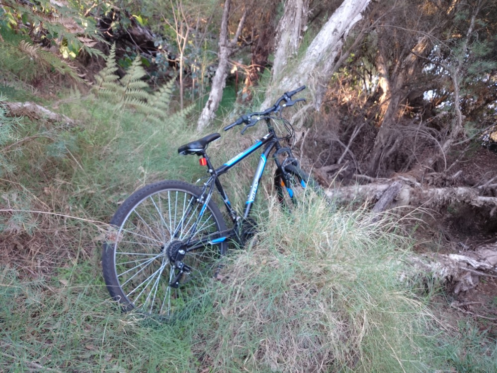 Abandoned bike in bush