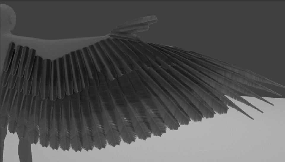 Avian feather progress