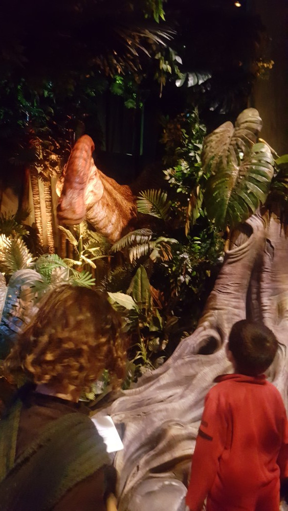 Boys studying animatronic parasauralophus at Jurassic World exhibition, Melbourne Museum, Victoria, Australia