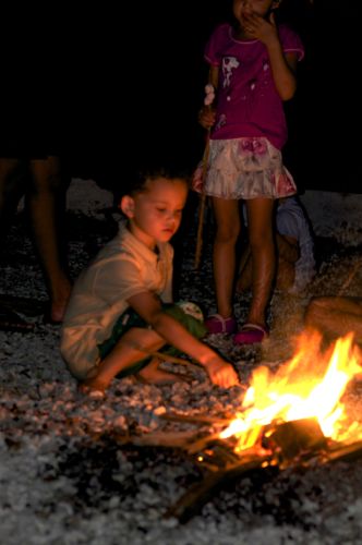 cooking marshmallows on a campfire