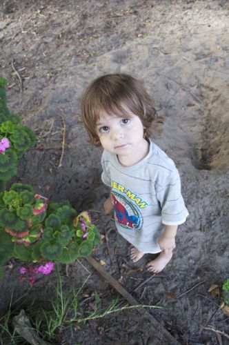 toddler next to geranium type plant