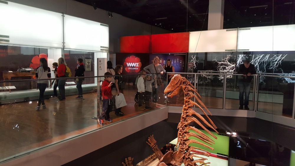 Curious sauropod skeleton investigating upper floor, Melbourne Museum, Victoria, Australia