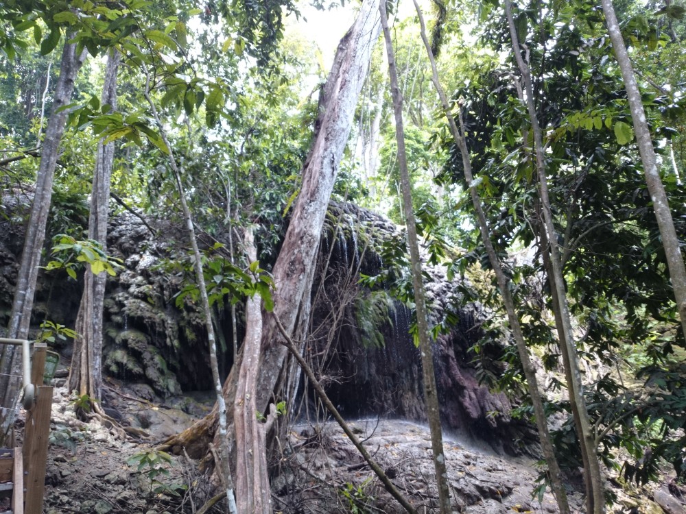 Dales Waterfall, Christmas Island, Australia