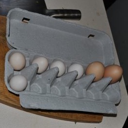 All the eggs in one basket.  Or egg carton as the case may be.