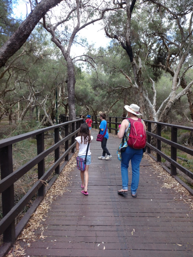 Walking along the boardwalk over the river at John Oakey Davis Park, Gosnells, Western Australia