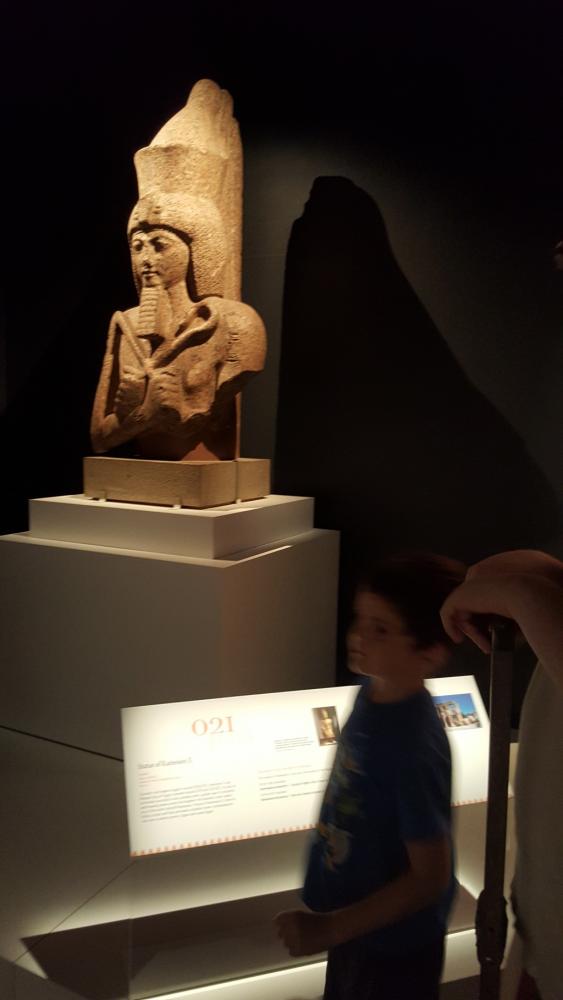 Bust of Rameses II at 100 Objects Exhibition, WA Museum