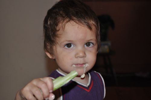 Toddler enjoying celery and dip