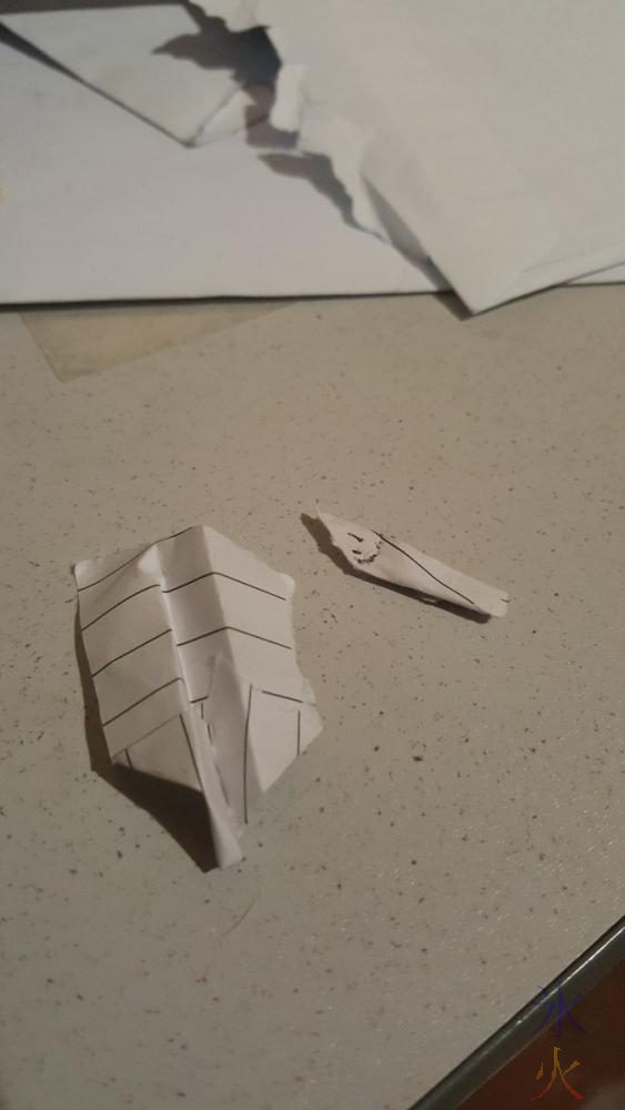 tiny paper plane and tiny paper pilot