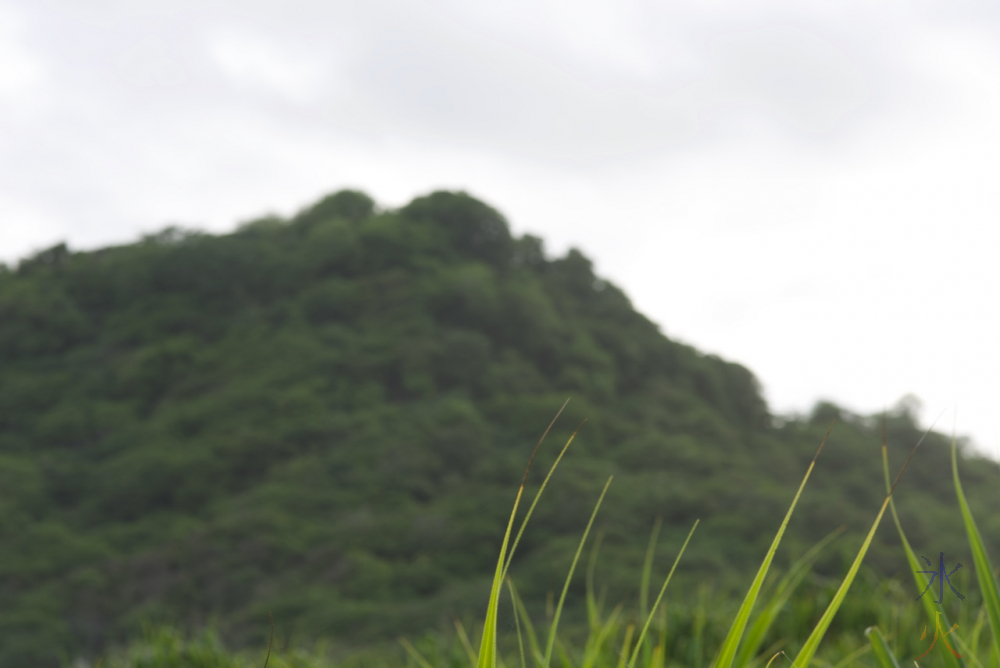 13yo's photograph of hills with grass in focus "upstairs" at Lily Beach, Christmas Island
