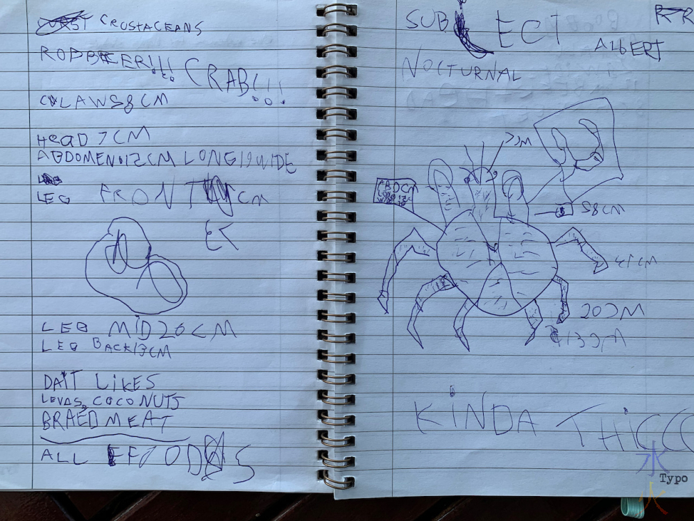 11yo's robber crab notes