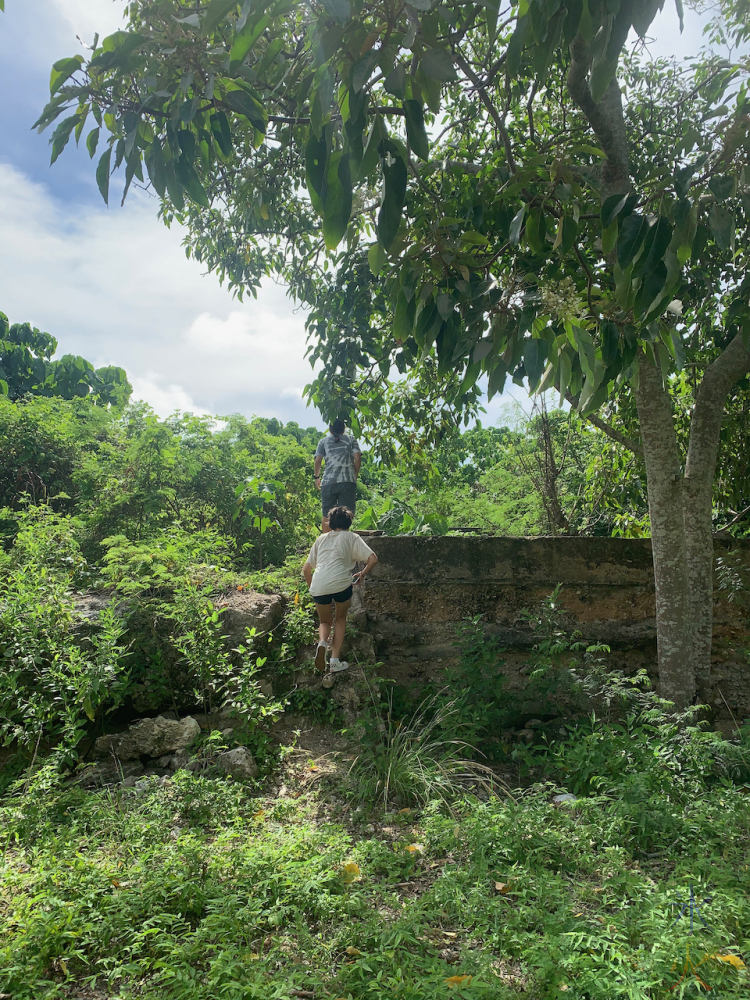 finding something climbable at South Point Village ruins, Christmas Island