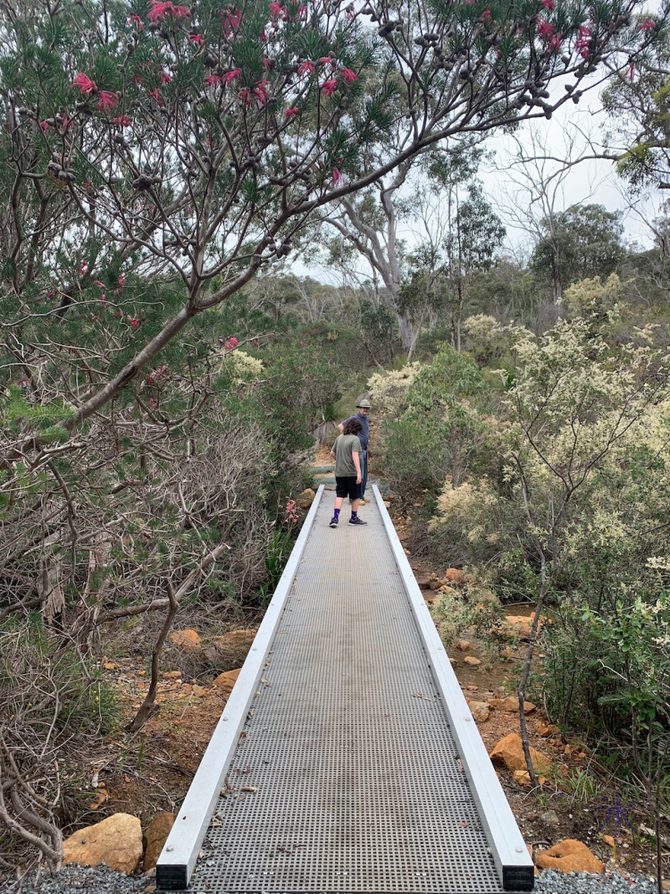 one of the bridges over the waterways at Ellis Brook, Banyowla Regional Park, Western Australia