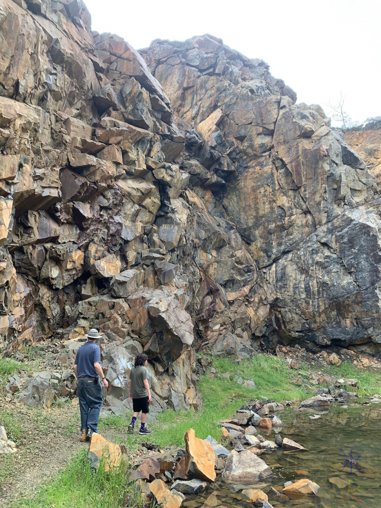 checking out what changed in flooded quarry in Ellis Brook, Banyowla Regional Park, Western Australia