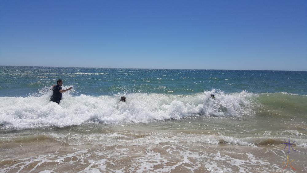 nearby-dog-beach-bodysurfing